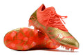 Puma Future Z 1.3 Teazer FG