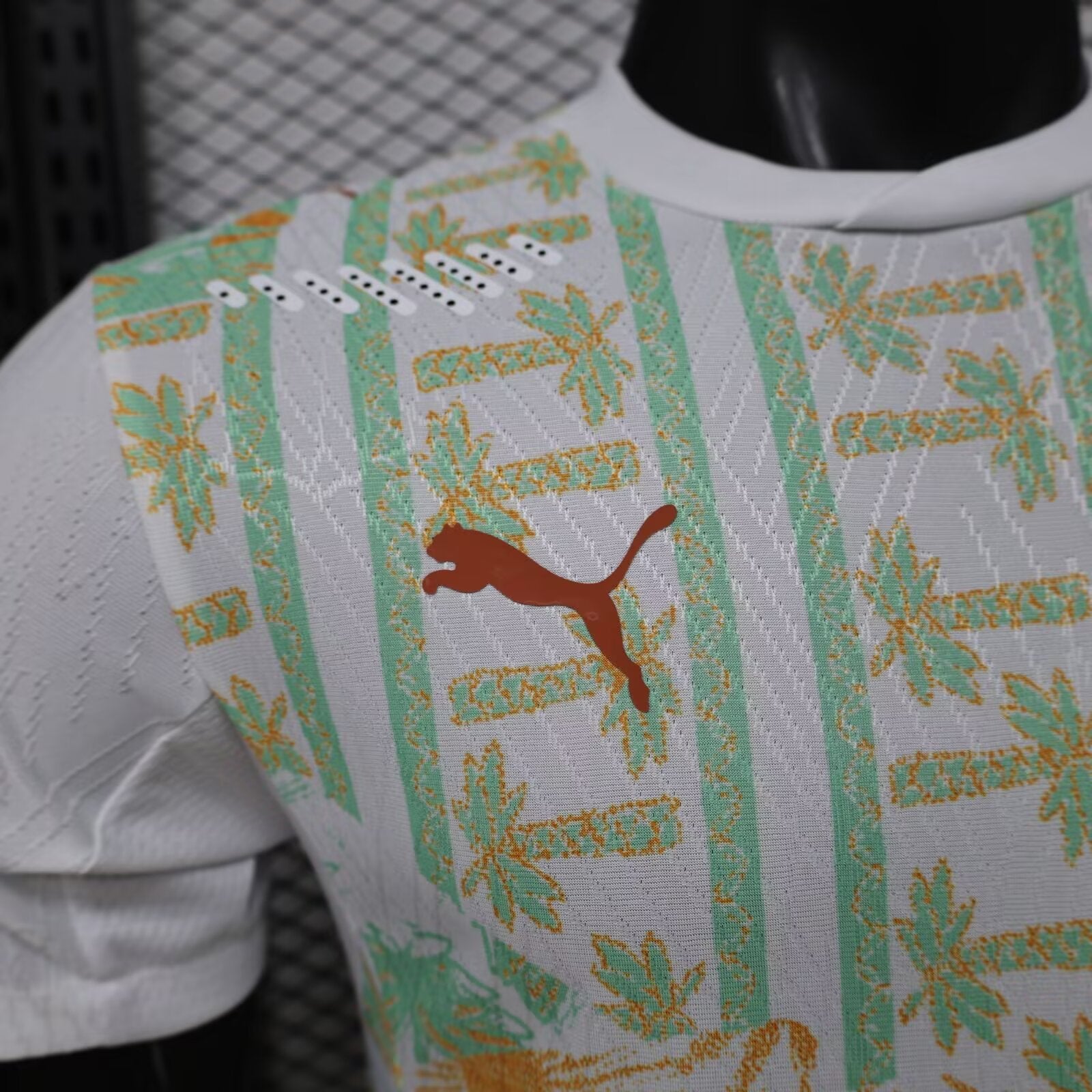 Maillot Equipe Cote D'Ivoire